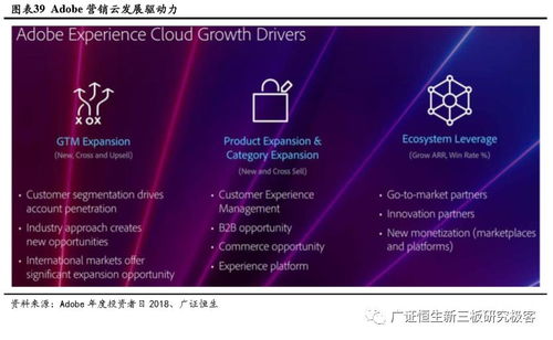 廣證恒生 adobe adbe.us 體驗云業務高速成長,平臺化和智能化或成下一個增長點