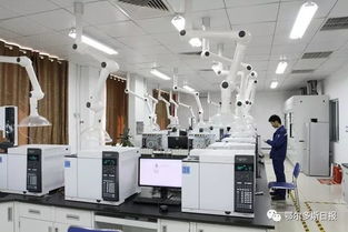 一季度鄂爾多斯經濟運行總體平穩,趨勢向好