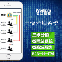 電商網站,品牌網站