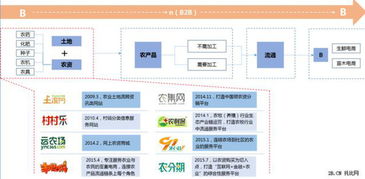 2015年B2B批發系統開發 互聯網農業變革的引擎